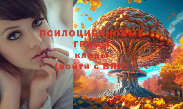 тгк Богданович